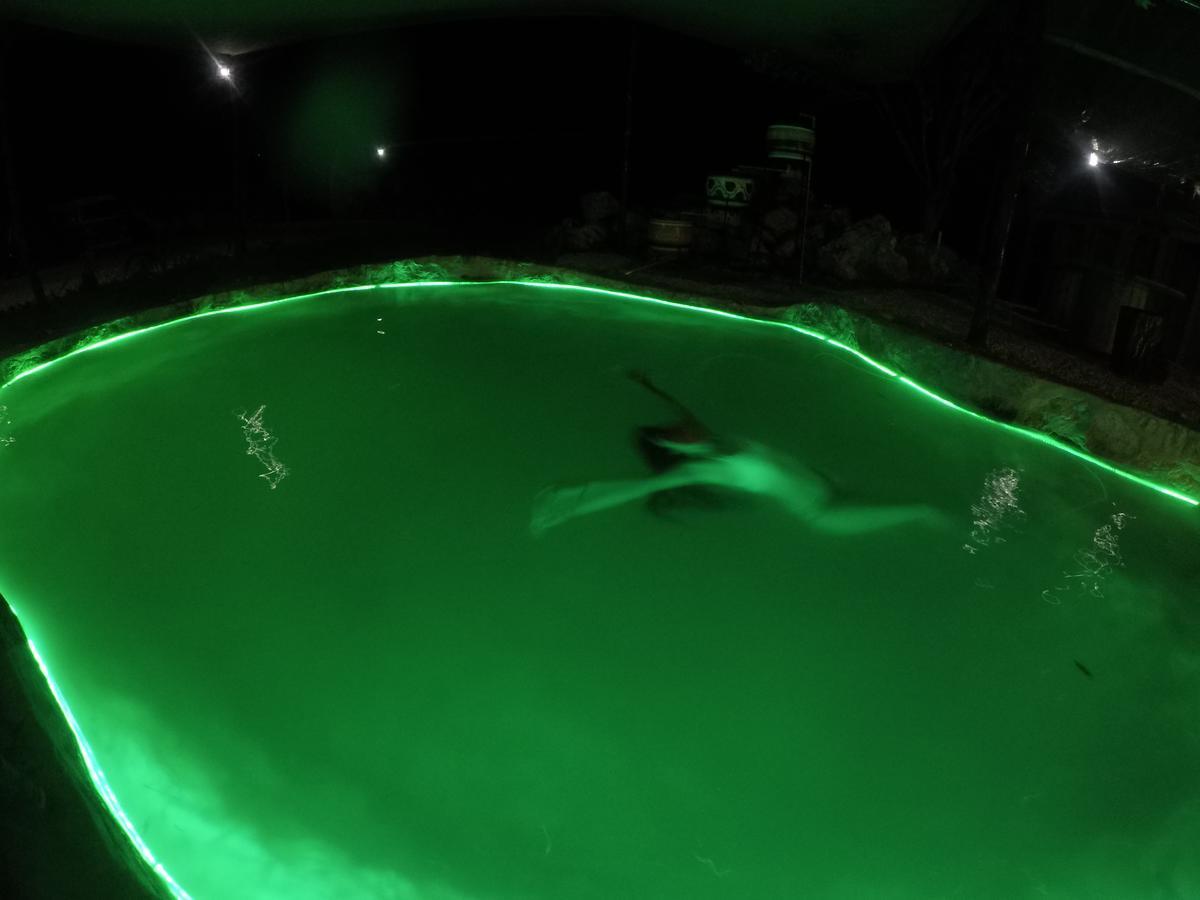 Eco Camping Valladolid วัลลาโดลิด ภายนอก รูปภาพ